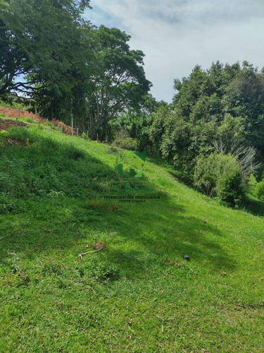 Imagem 3 de 15 de Terreno De 6.000m² - Boa Vista - 727