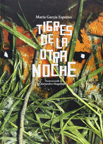 Tigres De La Otra Noche - María García Esperón