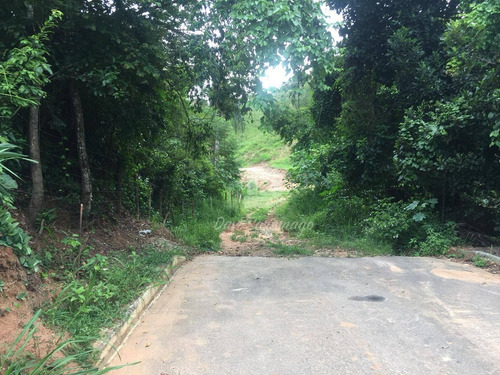 Imagem 22 de 22 de Terreno Amplo Para Desenvolvimento Imobiliário. - Te0019