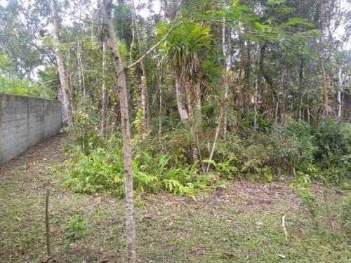 Imagem 9 de 14 de Chácara Com 5 Mil Metros E Lago Em Itanhaém Litoral Sul Sp