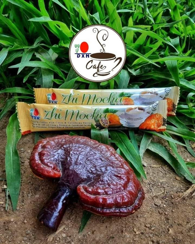 Zhi Mocha Dxn