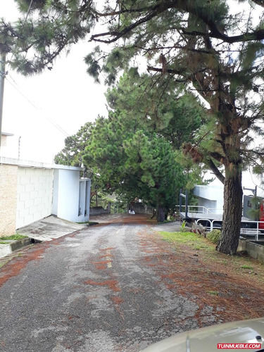 Imagen 6 de 9 de Terrenos En Venta