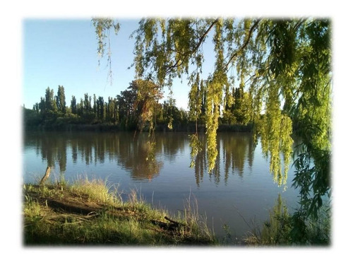 Imagen 8 de 19 de Campo - Caleu Caleu
