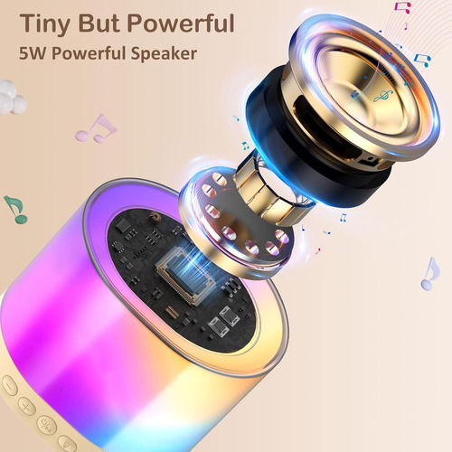 Mini Máquina Karaoke Portable Con 2 Micrófonos