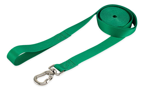 Coleira Guia Para Cachorro Micro Pet 10 Metros Cores Cor Verde