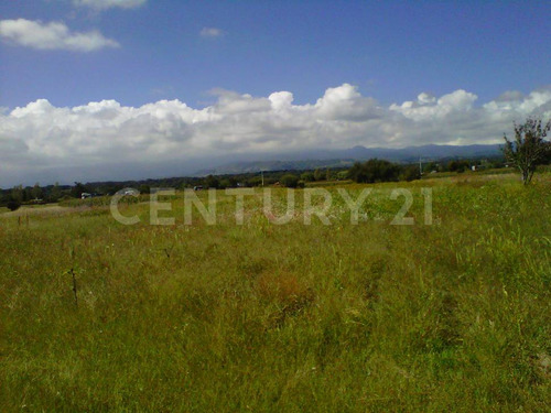 Venta Deterreno En San Martín Texmelucan Mpio. San Matias Tlalancaleca