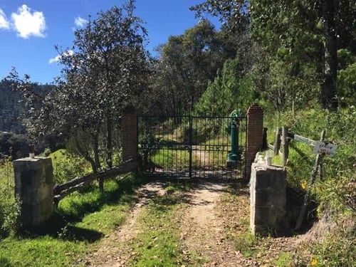 Imagen 2 de 10 de Hermoso Rancho Con Cabaña En Hidalgo. 32.2 Hectare. Vista