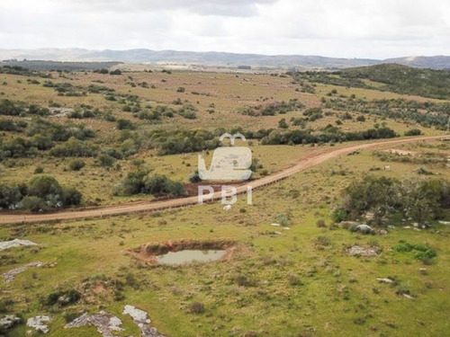 Imagen 10 de 23 de Chacra En Venta Las Cañas 3 Dormitorios - Ref : Pbi1699