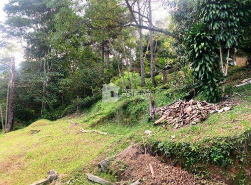 Imagem 14 de 30 de Chácara Com 4 Dorms, São Lourenço, São Lourenço Da Serra - R$ 900 Mil, Cod: 4281 - V4281