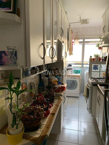 Imagem 10 de 14 de Apartamento À Venda Em Serraria - Ap000780