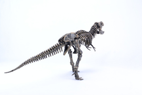 Dinosaurio Armable Machuka Tiranosaurio T-rex C/dino Mini