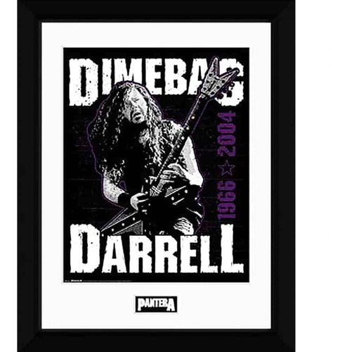 Cuadro De Colección Pantera - Dimebag Darrell