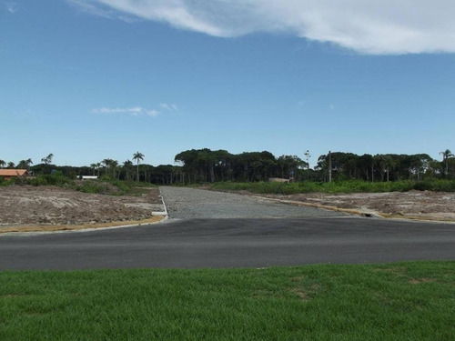 Imagem 12 de 25 de Terreno No Praia Do Ervino Com 0 Quartos Para Venda, 600 M² - Ft713