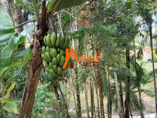 Imagem 29 de 30 de Chacara - Ch00106 - 69487480