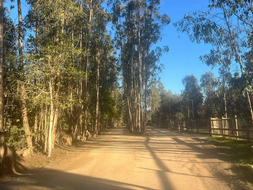 Parcela En Venta En Algarrobo