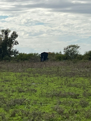 Excelente Campo De 40 Hectareas, Villa Paraancito, Acceso Vehicular, Luz, Ganadero O Plantacion