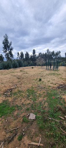 Hermoso Terreno De 5.000 M2 Cercano A La Playa