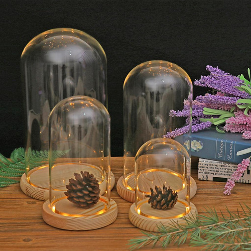 3 Florero De Preservación De F 12x20cm F 12x20cm F 12x20cm