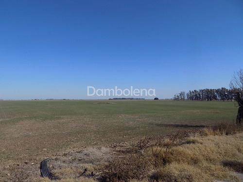 Imagen 5 de 27 de Terreno Campo En Venta En Carmen De Areco, Resto De La Provincia, Buenos Aires