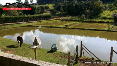 Chácara Pesqueiro Em Socorro De 4.000.00 M² De Terreno - 84