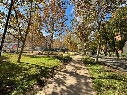 Cómodo Departamento, En Bello Parque Escrivá De Balaguer