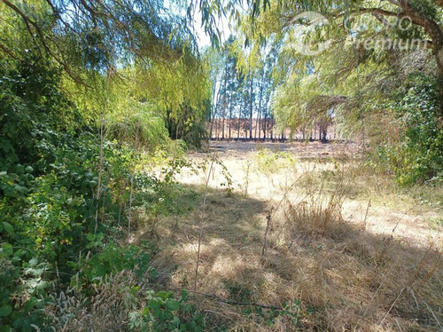 Imagen 3 de 17 de Terreno Agrícola En Venta En Victoria
