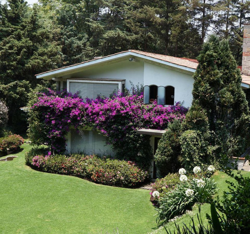Casa En Venta Con Terraza, Rancho San Francisco