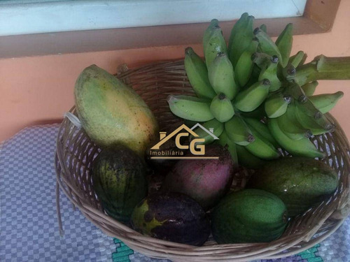 Imagem 21 de 24 de Linda Chacara Em Araçariguama Em Km 57 Castelo Branco - Ch0114