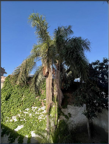 Departamento En Venta, Dos Amplios Ambientes Con Cochera En San Fernando