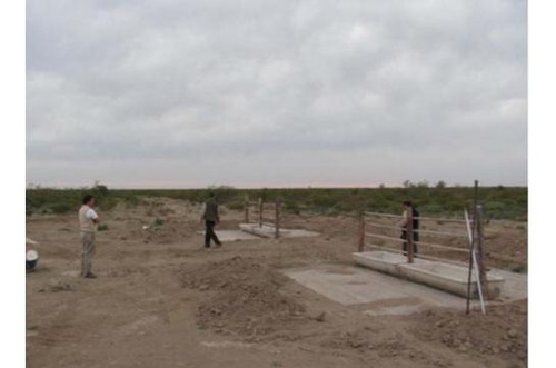 Imagen 8 de 8 de Campo - La Pampa- Pichi Mahuída Y Cuchillo Có- Ganadero