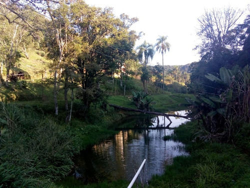 Imagem 25 de 30 de Lindo Sítio De 05 Alqueires Apenas 500m Da Rodovia, Ideal Para Formar Uma Pousada, Acampamento E Até Uma Fábrica. - 233 - 34266321