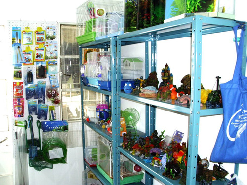 Imagen 4 de 5 de Oferta Musgo De Java Planta De Acuario Util Y Decorativa