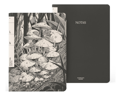 Libretas Grandes X2 Rayadas Patagonia | Monoblock