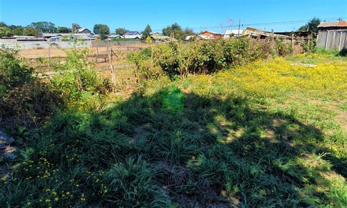 Imagen 5 de 5 de Sitio Urbano En Venta En Purranque