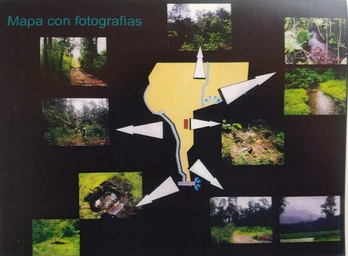 Imagen 3 de 8 de Venta Terrenos 351 Ha Estado De Mexico Valle De Bravo Aa