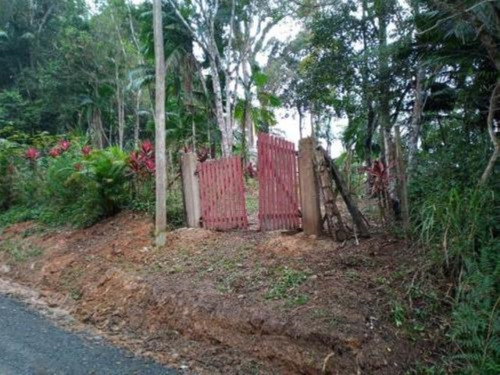 Imagem 1 de 10 de Chácara Em Iguape, Com 4.300 M² De Área Total, Possui Bananal E Outras Plantações Ref: 8703/ac