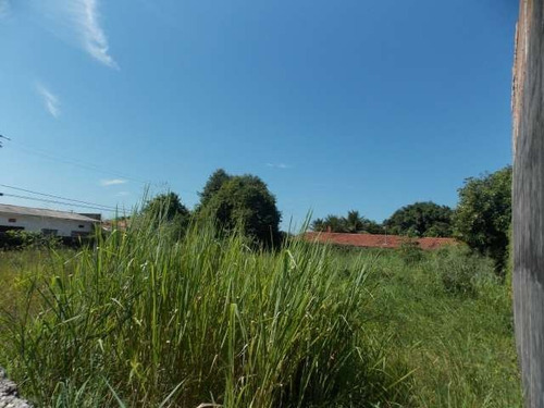 Imagem 5 de 10 de Terreno Bairro Convento Velho A Venda Na Praia De Peruíbe