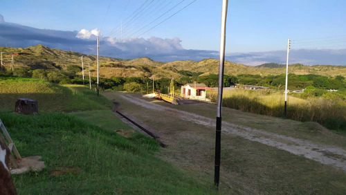 Vendo Finca En Tinaquillo Cojedes Mg