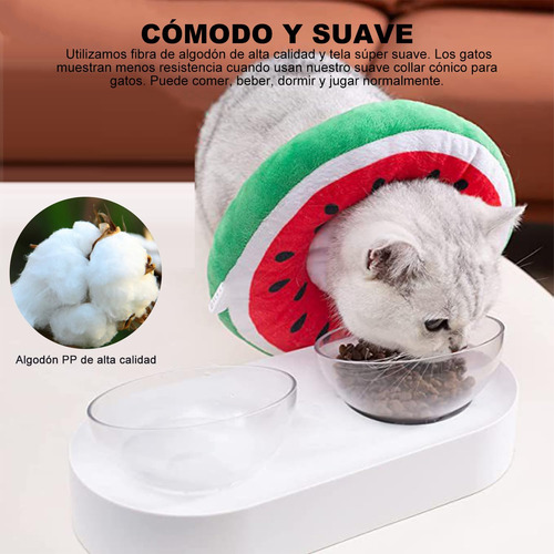 Collar De Recuperación Para Gatos Y Perro, Cono Isabelino,