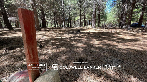 Venta Lote 1300m2, Altos De Pehuenia Villa Pehuenia