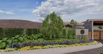 Comprar Venta De Terreno En El Barroco, San Miguel De Allende