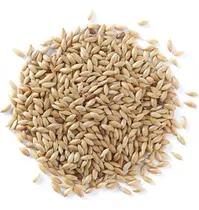 Comprar Alpiste Alimento Periquitos Canarios Loros Aves Pajaro 500gr