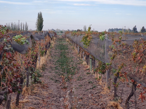 Imagen 23 de 27 de Finca Disponible En Fracciones Ideal Para Galpones O Loteo
