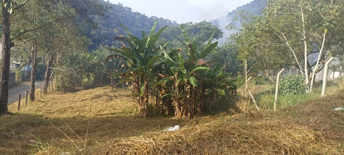 Chacara No Bairro Taquari - Sp 50 Km 23,5 Área De 540m² Sendo 13 De Largura E 42 De Comprimento.