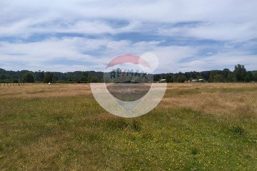 Terreno De Ensueño En Los Lagos: ¡invierte Hoy!
