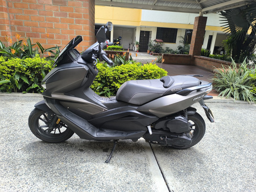 Victory Black 2023