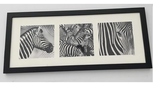 Cuadro Decorativo Zebras 100x 45 Marco Madera