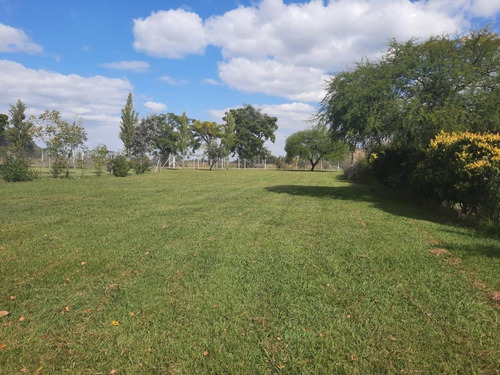 Imagen 5 de 8 de Lote En Venta, San Alfonso, Pilar
