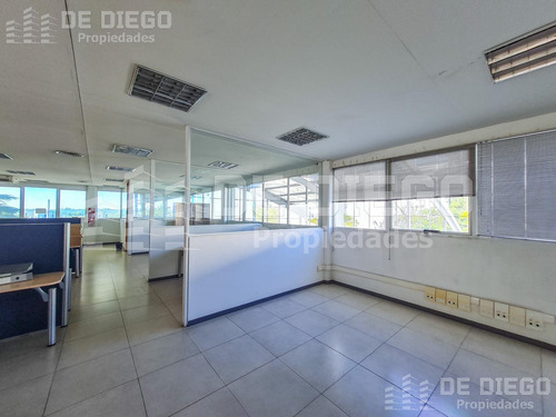 Nave Industrial En Alquiler Ideal Industria Farmacéutica Habilitado Por Anmat, El Talar Pacheco
