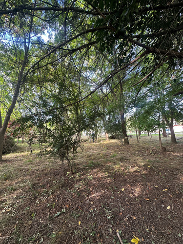 Terreno - Villa Parque Sicardi